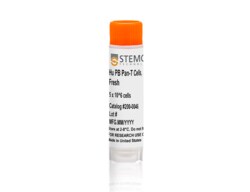 STEMCELL Technologies Human Peripheral Blood Pan-T Cells, Fresh, Size: