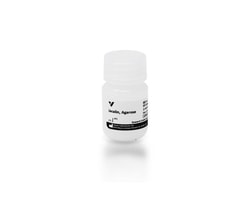 Vector Laboratories GSL I, BSL I, Rhodamine, 2 mg AL-1153-10, Quantity: