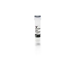 Vector Laboratories WFA, WFL, Unconjugated, 5 mg B-1025S-5, Quantity: Each