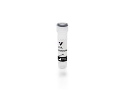 Vector Laboratories Pisum Sativum Agglutinin (PSA), Biotinylated 5mg, Quantity: