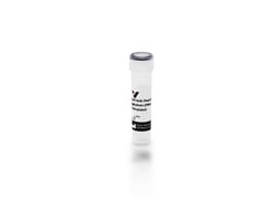 Vector Laboratories MAL II, Biotinylated, 1 mg BA-0074-.5, Quantity: Each