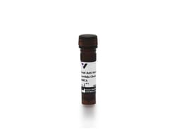 Vector Laboratories Goat Anti-Human IgM, 0.5 mg CI-3070-.5, Quantity: Each