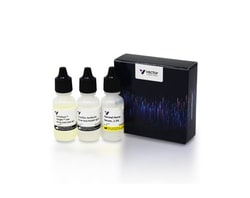 Vector Laboratories VectaFluor™ Excel Amplified Anti-Rabbit IgG, DyLight 594 Antibody Kit