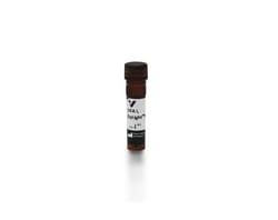 Vector Laboratories Ulex Europaeus Agglutinin I (UEA I), DyLight 649, 1mg,