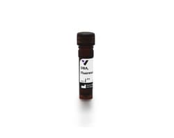 Vector Laboratories DSL, Unconjugated, 5 mg FL-1031-5, Quantity: Each of