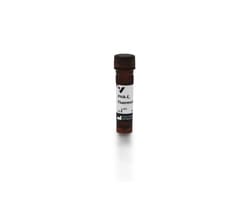 Vector Laboratories Phaseolus Vulgaris Erythroagglutinin (PHA-E), Fluoresceinm,