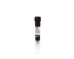 Vector Laboratories Jacalin, Biotinylated, 5 mg FL-1151-5, Quantity: Each