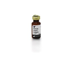 Vector Laboratories Goat Anti-PHA E+L Unconjugated I-5000-5, Quantity: