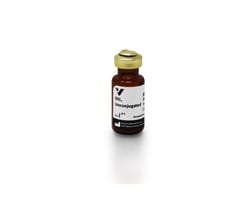 Vector Laboratories Datura Stramonium Lectin (DSL), Unconjugated, 5ml,
