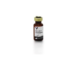 Vector Laboratories Griffonia (Bandeiraea) Simplicifolia Lectin II (GSL