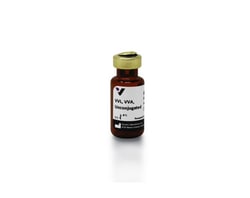 Vector Laboratories Vicia Villosa Lectin (VVL, VVA), Unconjugated, 5mg,