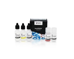 Vector Laboratories ImmPRESS-HRP Horse Anti-Rabbit IgG PLUS Polymer Kit,