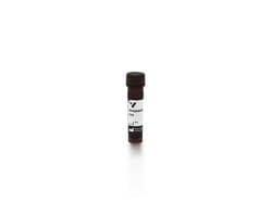 Vector Laboratories Alkaline Phosphatase Avidin D SA-1300-1, Quantity: