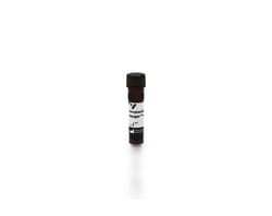 Vector Laboratories Avidin DN, 1 mg SA-5594-1, Quantity: Each of 1
