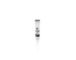 Vector Laboratories Goat Anti-GSL I, Unconjugated SP-4000-1, Quantity: