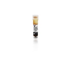 Vector Laboratories NanoLINK Streptavidin Magnetic Beads 1ml, Quantity: