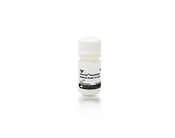 Vector Laboratories NanoLINK Streptavidin Magnetic Beads (1.0 µm), Quantity: