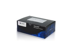 Vector Laboratories Protein-Oligonucleotide Conjugation Kit, 1 Kit, Quantity: