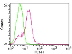 AdipoGen anti-ACE2 (human), mAb (AC18F) (ATTO 488) (100 tests), Quantity: