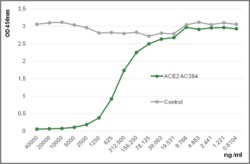 AdipoGen anti-ACE2 (human), mAb (blocking) (AC384) (preservative free)