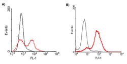 AdipoGen anti-CD137 (mouse), mAb (M4173) (50 µg), Quantity: Each of 1