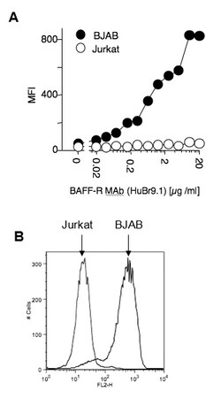 AdipoGen anti-BAFF-R (human), mAb (HuBR9.1) (ATTO 647N) (100 tests), Quantity: