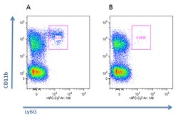 AdipoGen anti-Neutrophils (mouse), mAb (blocking) (Nimp-R14) (100 µg),