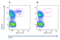 AdipoGen anti-Neutrophils (mouse), mAb (blocking) (Nimp-R14) (preservative