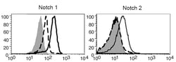 AdipoGen anti-Notch2, mAb (16F11) (100 µg), Quantity: Each of 1