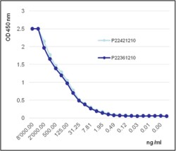 AdipoGen Angiopoietin-2 (human) (rec.) (3 x 10 µg), Quantity: Pack of 3