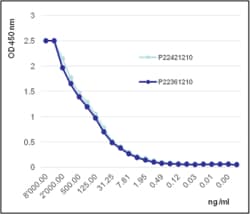 AdipoGen Angiopoietin-2 (human) (rec.) (10 µg), Quantity: Each of 1