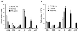 AdipoGen Fc (human):FLT3 Ligand (human) (rec.) (100 µg), Quantity: Each