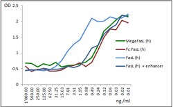AdipoGen Fc (human):FasL, Soluble (human) (rec.) (10 µg), Quantity: Each