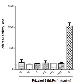 AdipoGen Frizzled-5 (human):Fc (human) (rec.) (50 µg), Quantity: Each of