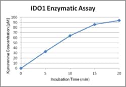 AdipoGen IDO (human) (rec.) (His) (highly active) (50 µg), Quantity: Each