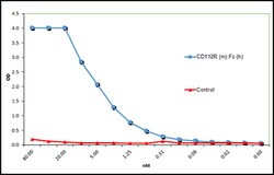 AdipoGen CD112R (mouse):Fc (human) (rec.) (3 x 10 µg), Quantity: Pack of