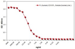 AdipoGen Fc (human):CD137L, Soluble (human) (rec.) (3 x 10 µg), Quantity: