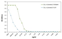 AdipoGen DLL4 (human):Fc (human) (rec.) (highly active mutant) (10 µg),