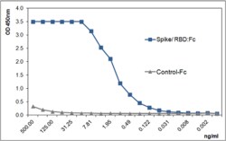 AdipoGen ACE2 (human) (rec.) (50 µg), Quantity: Each of 1