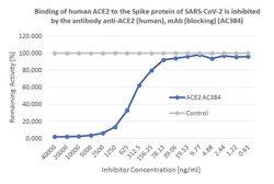 AdipoGen SARS-CoV-2 Inhibitor Screening Kit (96 wells)
