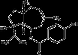 AdipoGen Ferutinin (high purity) (5 mg), Quantity: Each of 1