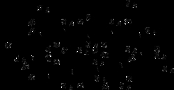AdipoGen Cyclosporin A (1 g), Quantity: Each of 1