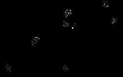 AdipoGen Ursodeoxycholic acid (1 g), Quantity: Each of 1