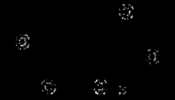 AdipoGen Itaconic acid (1 g), Quantity: Each of 1