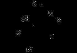AdipoGen clasto-Lactacystin beta-lactone (100 µg), Quantity: Each of 1