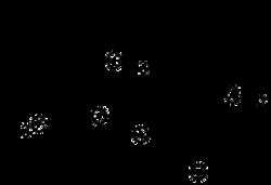 AdipoGen Parthenolide (50 mg), Quantity: Each of 1