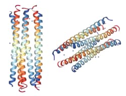 AdipoGen Dermcidin-1L (human) . TFA (5 mg), Quantity: Each of 1