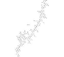 AdipoGen VIP (human, mouse, rat) . AcOH [RLF-100] (1 mg), Quantity: Each