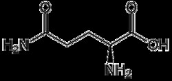 AdipoGen L-Glutamine [H-Gln-OH] (1 g), Quantity: Each of 1