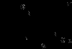 AdipoGen Me6BIO (5 mg), Quantity: Each of 1